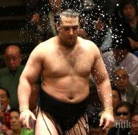 Аоияма не успя да сътвори изненада срещу Харумафуджи