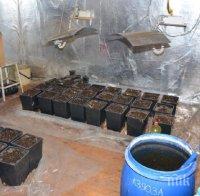 Разбиха домашна лаборатория за производство на наркотици (снимки)