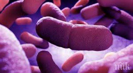 коварната бяла чума покоси броени часове годишен благоевградчанин