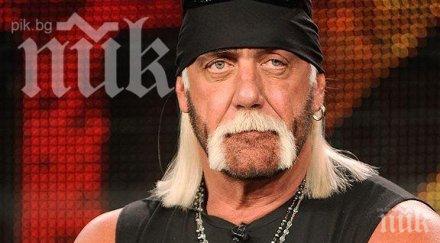 хълк хоугън осъди клюкарски сайт 115 милиона долара обезщетение заради секс видео