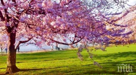 астрономическата пролет настъпва 630 март