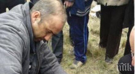 кон прегази зрител кушия крайници снимки