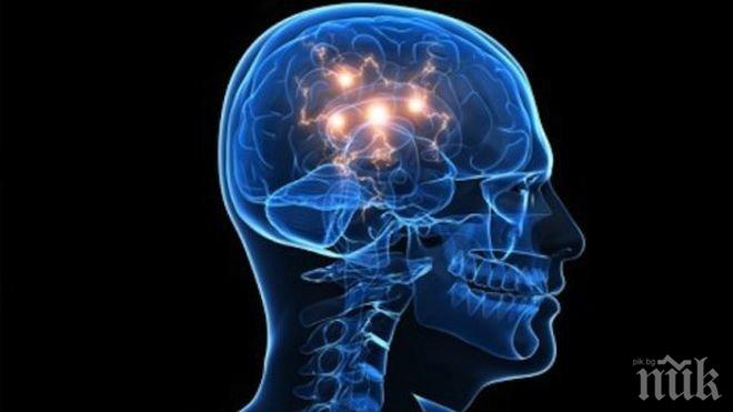 Алцхаймер и Паркинсон ще могат да бъдат лекувани с изкуствени невронни мрежи 