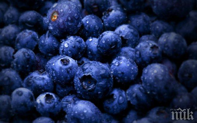 Червени боровинки - не лекуват, но са полезни