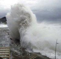  Петима души са загинали в неделя при падането на кола от вълнолом в Ирландия