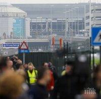 Белгийските национали отмениха тренировка заради ужасите в Брюксел