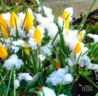 Пролет пукна! Седмицата стартира със слънце, но идват и студове 
