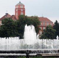 26 хиляди летни цветя ще красят Плевен
