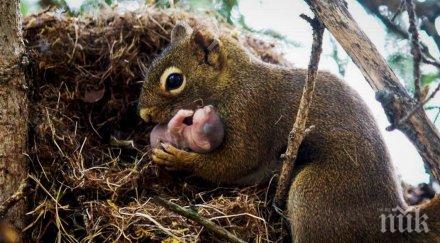 снимки поразяват онези успешни снимки заснети точния момент идеалните снимки