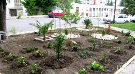 хиллв красива градинка блока