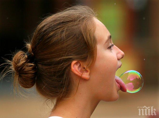 25 весели снимки, заснети в точния момент!