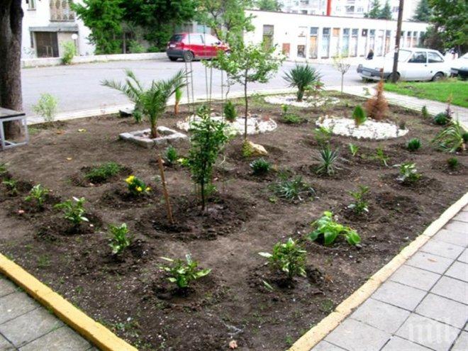 До 3 хил.лв. за красива градинка пред блока