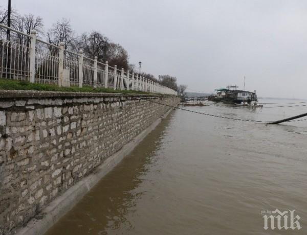 Река Дунав се е понижила при Свищов
