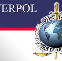 Интерпол е предложила на Белгия помощ след серията от експлозии в Брюксел