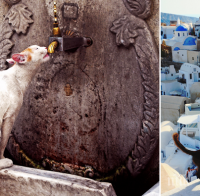 19 зашеметяващи снимки на котки в живописните кътчета на света