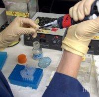 Терапия със столови клетки връща назад остеопороза при мишки
