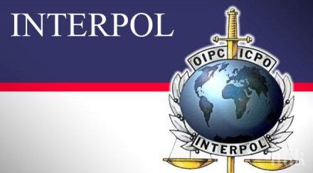 интерпол предложила белгия помощ серията експлозии брюксел