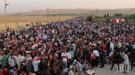 българия разполага 4175 свободни места бежанските центрове