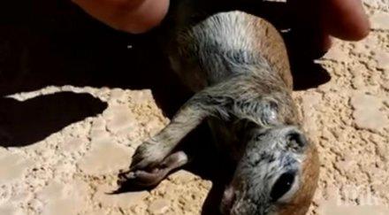 катеричка почти удави басейн човек направи спаси удря право сърцето