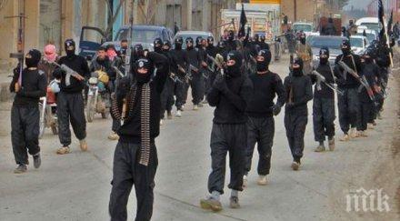 бъдещето розово ден изчезне ислямска държава появи друга такава организация