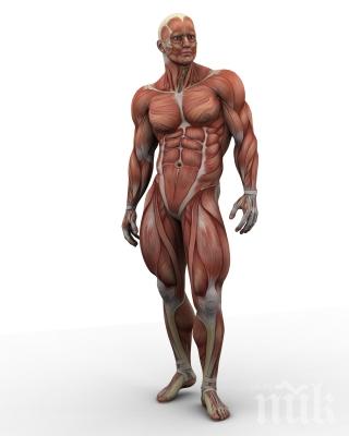 Отварят Музей на отпадъците от човешкия организъм