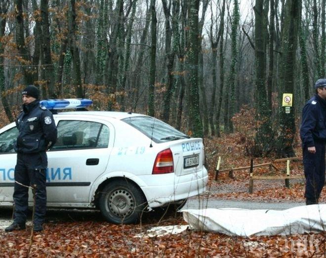 УЖАСЯВАЩО! Откриха наръфани трупове на бежанци в гората до Малко Търново