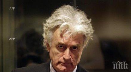 николич присъдата караджич влияе бъдещето република сръбска