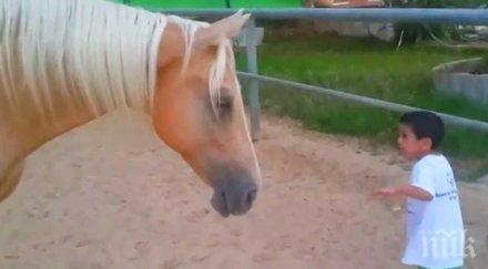 момче генетичен дефект доближава твърде близо кон майката заснема подминато