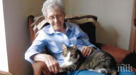 нейната котка почина ръцете часа късно повярваш случи нея