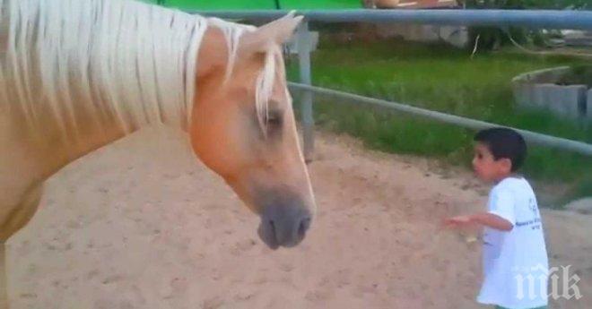 Момче с генетичен дефект се доближава твърде близо до кон. Това, което майката заснема, не може да бъде подминато!