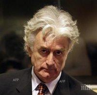 Присъдата на Караджич е победа за историята