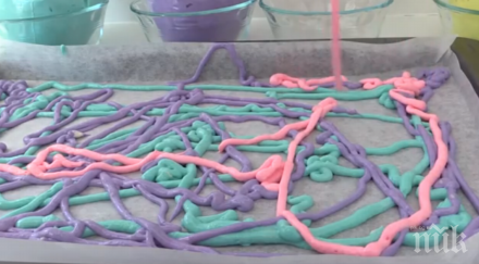 биолози създадоха организъм малък брой гени света