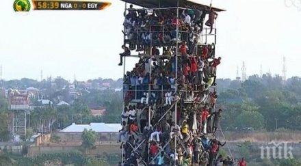 хиляди гледаха нигерия египет стадион два зрители снимки