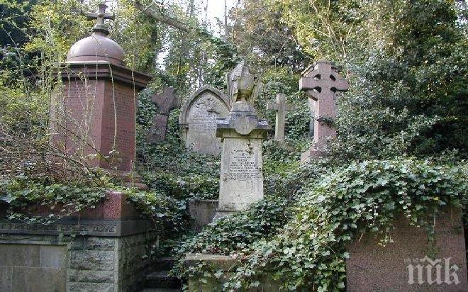 В най-голямото гробище в Япония почиват над 200 000 души