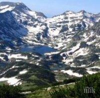 СКАНДАЛ! WWF и “Алфа рисърч” заблуждават чрез социологическо изследване