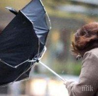 Опасност от силни ветрове и проливни дъждове в Белгия
