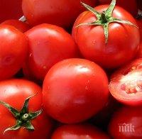 ХИТРА СХЕМА! Внасят домати по 60 ст. от Гърция, на пазара са 2,60 лв.