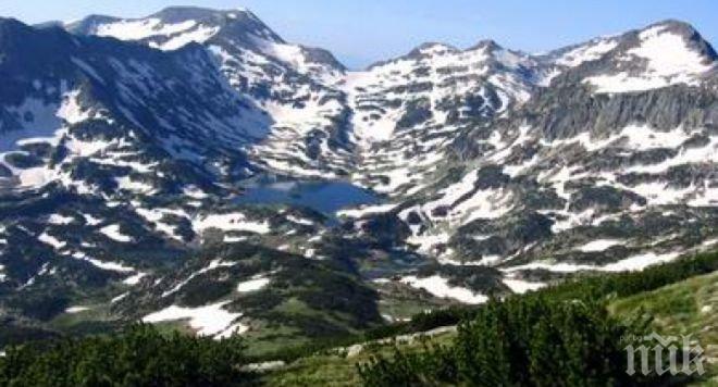 СКАНДАЛ! WWF и “Алфа рисърч” заблуждават чрез социологическо изследване