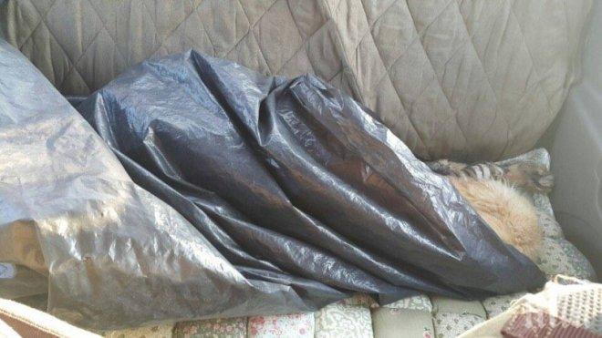 Когато те отвориха хленчещия в кофата за боклук вързоп, затаиха дъх. Това, което се намираше вътре, е по-жестоко от...