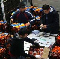 Сирия започна да доставя плодове и зеленчуци в Русия