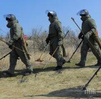 Русия изпраща в Палмира 100 сапьори да разминират местността