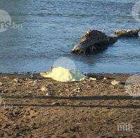 УЖАСЯВАЩО! Паника край река Дунав! Труп изплува на брега