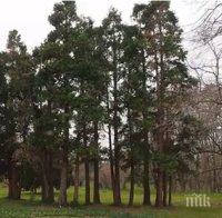 ПИК TV: Ботаническа градина Екопарк – Варна е първият екопарк в страната