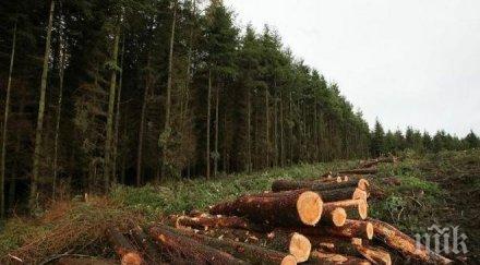 задържаха бракониери разлог акция