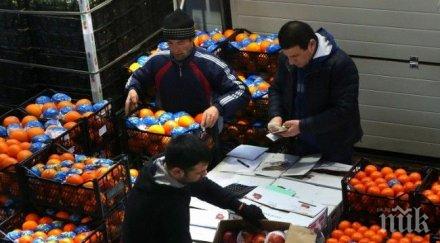 сирия започна доставя плодове зеленчуци русия