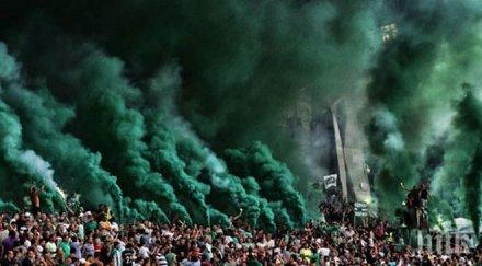 скандал феновете берое искат оставки шефове мача цска