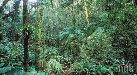 изпитание млад войник оцеля близо месец сам джунглата