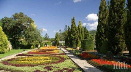 дондуковата градина пловдив става райски кът