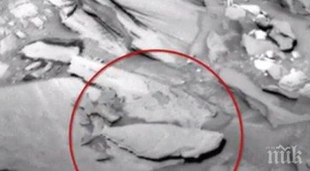 откриха риба марс видео