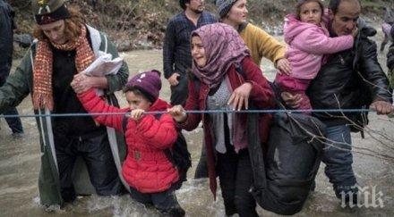 оон призова държавите приемат половин милион бежанци сирия